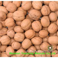 Słodka najwyższa jakość ziaren Yunnan Walnut